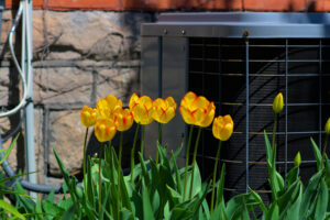 spring ac maintenance, ac maintenance, air conditioner, air conditioning, air conditioning maintenance, air conditioner maintenance, best time for ac maintenance, spring is the best time for ac maintenance, texas hvac, dallas hvac, fort worth hvac, southlake hvac